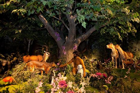 Adam in the garden of Eden underneath a tree and surrounded by plants and animals.