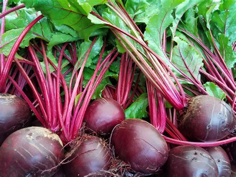 A half dozen beets that have just been harvested.