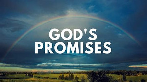 YHWH's rainbow promise.
