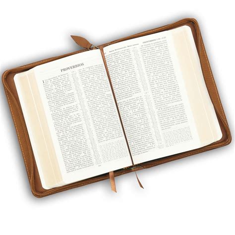 An open copy of the NWT bible on a white background.